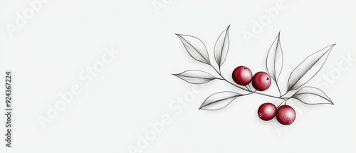 Wallpaper Mural Minimalist hand-drawn cranberries, elegant line work with delicate details, against a white background Torontodigital.ca