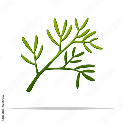 Dill leaf vector isolated illustration