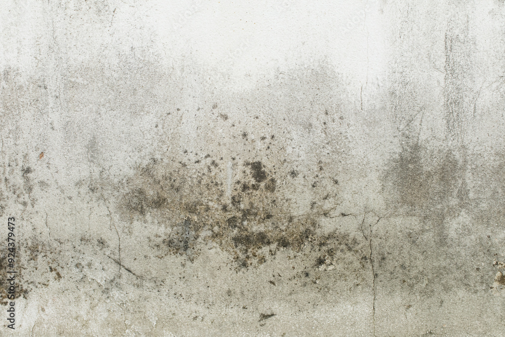 Fototapeta premium Green moss and rain stains on cement wall