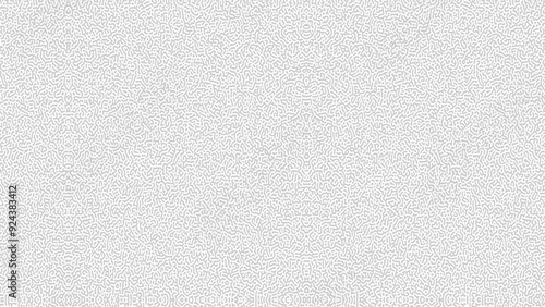 Vector Seamless Black And White Jumble Organic Lines Pattern. Abstract Geometric Background Design. Organic Reaction Diffusion Turing pattern.