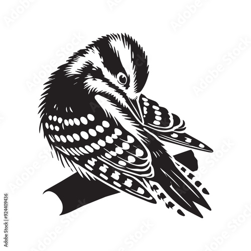 Downy woodpecker silhouette, Woodpecker  Bird Clipart, Downy Woodpecker preening feathers illustration