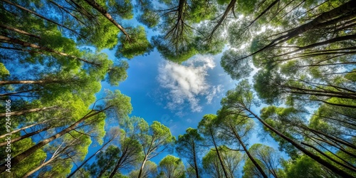 Fototapeta Naklejka Na Ścianę i Meble -  Heart shaped hole in canopy of forest revealing blue sky