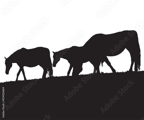 Vector silhouettes of grazig horses eating grass. Vector illustration. Black horse sign on a white background.