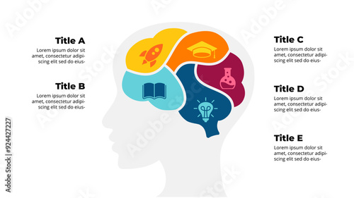Human Head. Education Infographic. Creative Thinking Concept. Emotional Intelligence. Brain Diagram 5 steps. Generating Ideas Brainstorming. Psychological, Medical or Scientific icon. Human Intellect.