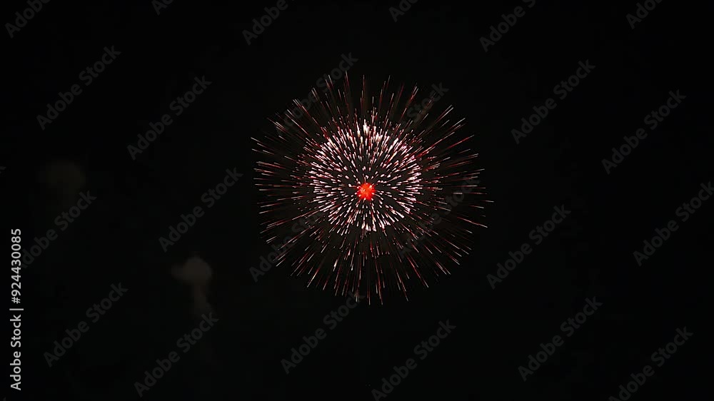 [納涼花火大会] いたばし花火大会（単玉）