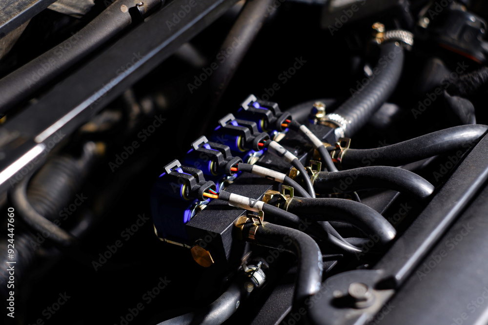 Propane or LPG fuel injector rail for propane or LPG fuel system of the car , car alternative fuel technology concept Propane or LPG fuel injector rail for propane or LPG fuel system of the car , car alternative fuel technology concept