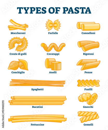 Types of pasta illustration, transparent background. Labeled italian cuisine shapes explanation. Various styles with titles. Spaghetti, penne, conchiglie, maccheroni.
