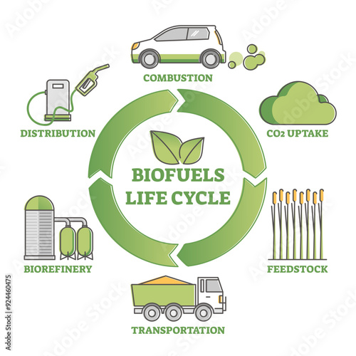 Biofuel life cycle diagram with production and consumption explanation outline concept, transparent background. Educational process with CO2 uptake.