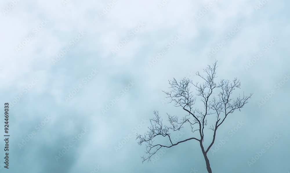 Fototapeta premium tree silhouette against rainy clouds, Generative AI