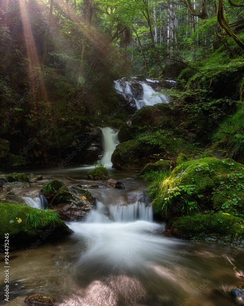 Naklejka premium 茨城県常陸太田市 早朝の横川の下滝 
