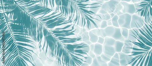 Shadows of palm leaves on tranquil water with gentle ripples on a sunny day, cut out