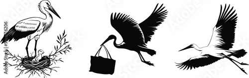 Set of stork, vector illustration.