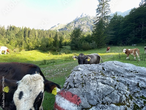 Wanderung Werfenweng Tennengebirge photo