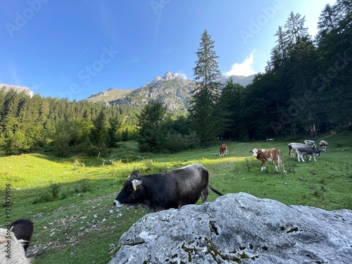 Wanderung Werfenweng Tennengebirge photo