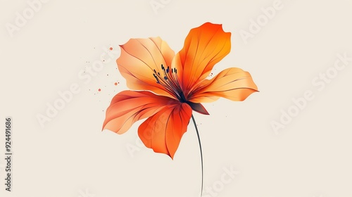 A single orange flower with delicate petals and a subtle stem, isolated on a white background.