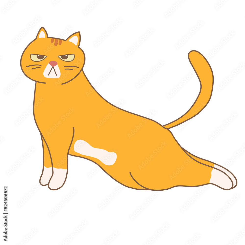 Naklejka premium Orange Cat Yoga