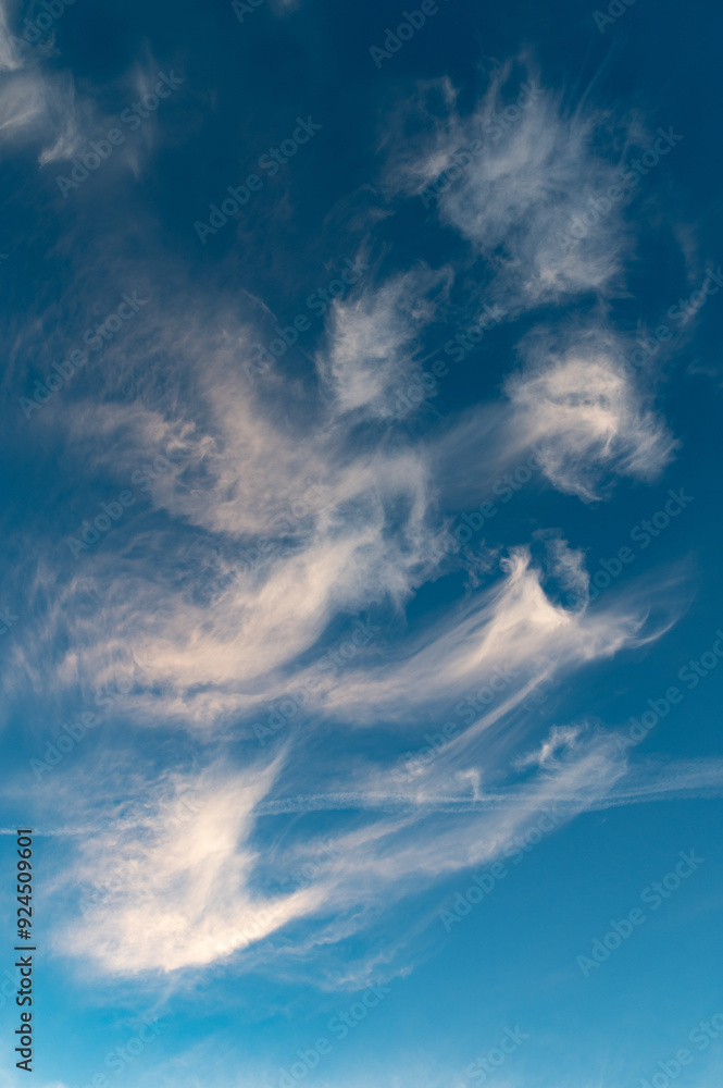 International Sky Day, Cloud Appreciation Day. Summer blue sky and sunset pink colored cloud . Beauty clear cloudy in sunshine calm bright winter air background. International Sky Day, Cloud Appreciation Day. Summer blue sky and sunset pink colored cloud . Beauty clear cloudy in sunshine calm bright winter air background.
