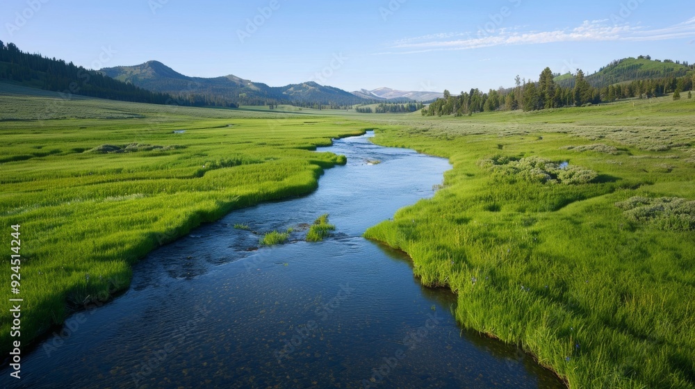 River meadows within a vast wilderness showcase a tranquil landscape where flowing rivers meet open meadows, surrounded by untamed natural beauty.