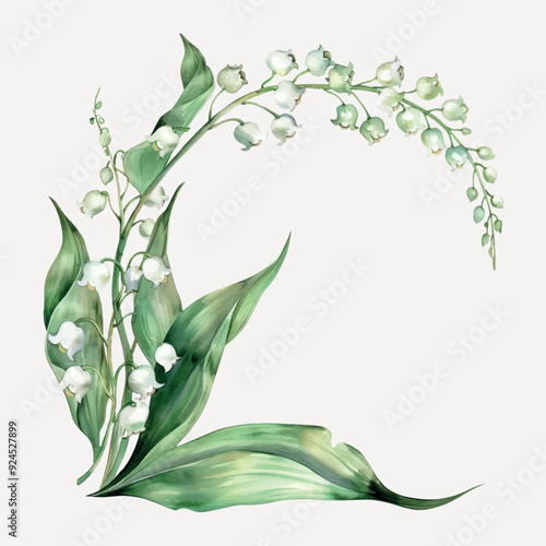 Elegant lily of the valley illustration