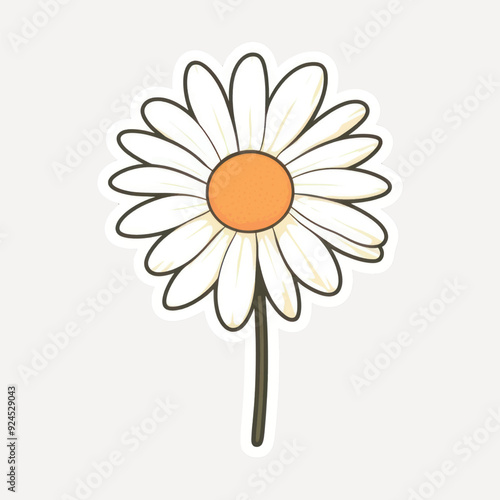 Charming hand-drawn daisy illustration