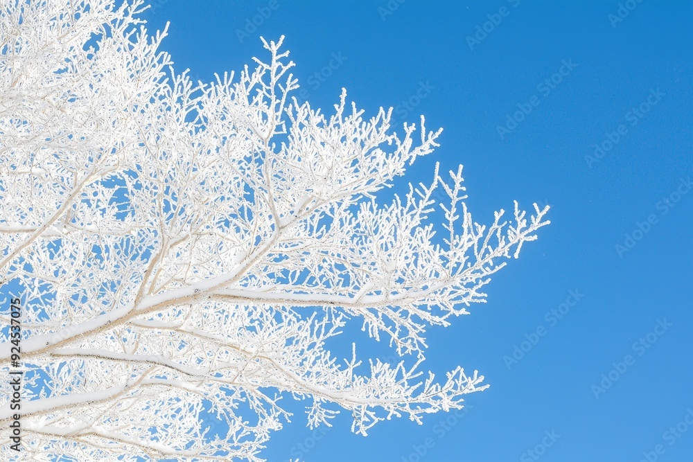 A frosted tree branch against a clear blue sky, showcasing winter's beauty in a serene and tranquil setting. A frosted tree branch against a clear blue sky, showcasing winter's beauty in a serene and tranquil setting.