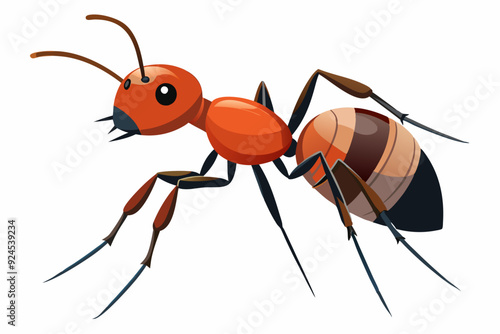 Red ant with brown and black stripes on abdomen