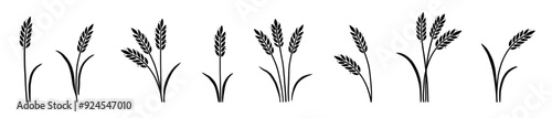 Wheat barley rice icon hand drawn