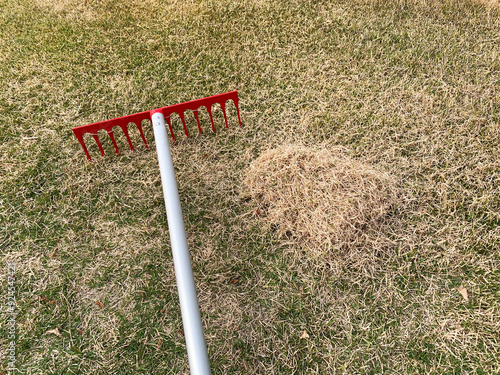 芝生のサッチング
