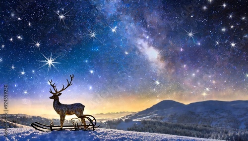 deer in the forest