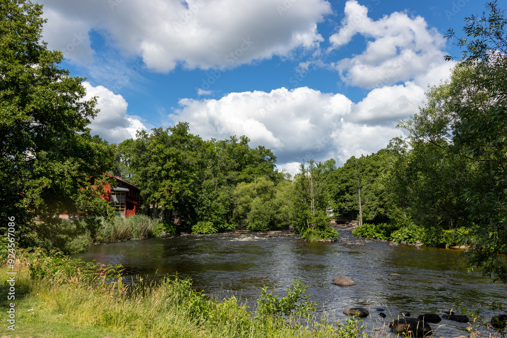 Fototapeta premium Swedish Nature