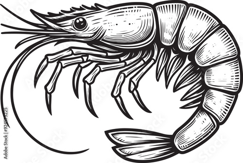 Shrimp Silhouette isolated on white background Minimalist crayfish vector shape