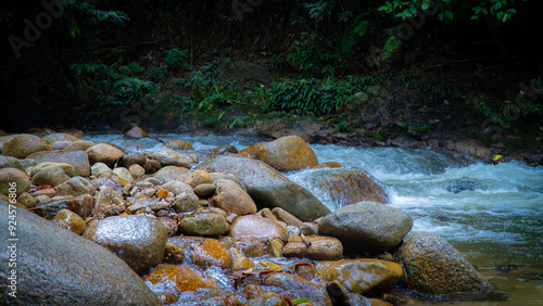 River in Malaysia