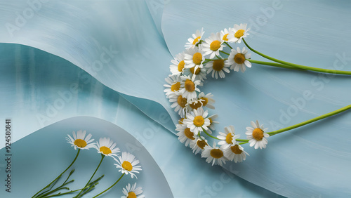 Daisies on Soft Blue Background