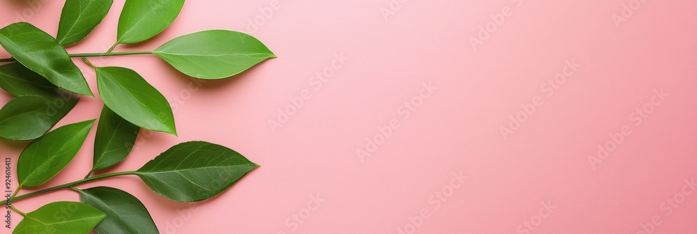 Serene Pastel Green Leaves on Soft Pink Background - Minimalist Nature Concept, Generative Ai Serene Pastel Green Leaves on Soft Pink Background - Minimalist Nature Concept, Generative Ai