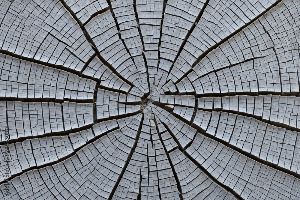 Fototapeta premium Cracked Lines and Textured Surface on Transparent Background