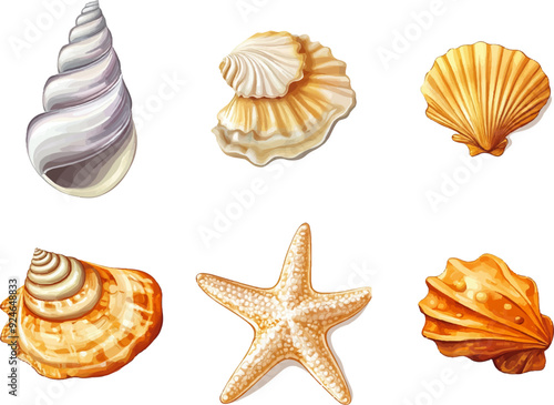 Watercolor set of seashells, conch, and starfish on a white background