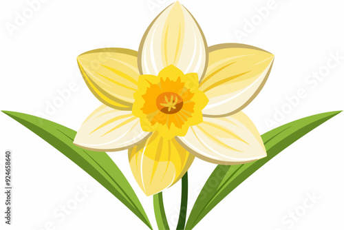 Single Yellow Daffodil Flower with Green Leaves