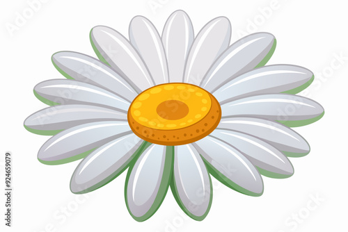 Single White Daisy Flower with Yellow Center