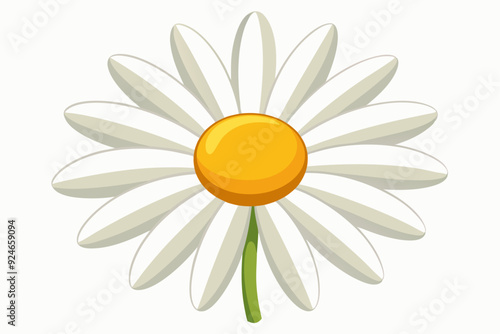 Single white daisy with yellow center and green stem