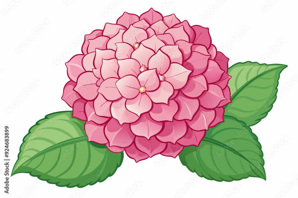 Pink Flower with Green Leaves Illustration Pink Flower with Green Leaves Illustration
