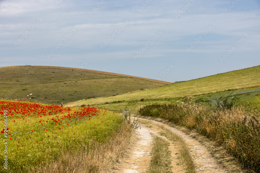 A chalk pathway through farmland in the South Downs, with poppies growing in a field to one side A chalk pathway through farmland in the South Downs, with poppies growing in a field to one side