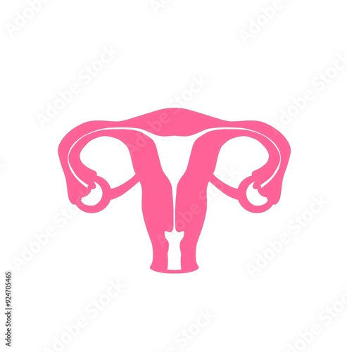 Uterus, fallopian tubes , feminity illustration  photo