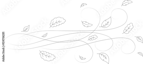 Doodle autumn leaves flying in the wind. Falling season outline backdrop, air flow leaves wave linear pattern or wind blowing doodle vector print. Autumn windy weather hand drawn monochrome background
