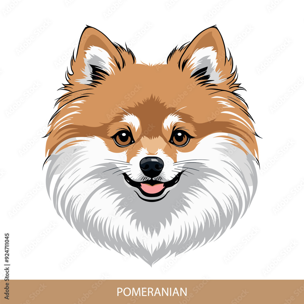 Obraz premium Stylized pomeranian Dog Head Illustration in Vector Art