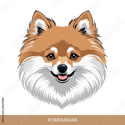 Stylized pomeranian Dog Head Illustration in Vector Art