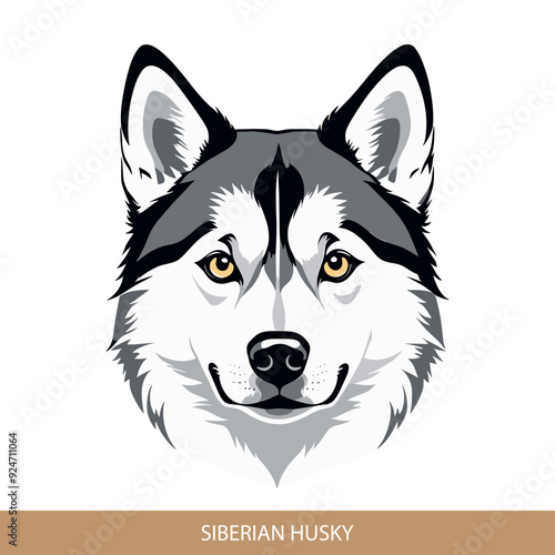 Stylized siberian husky Dog Head Illustration in Vector Art