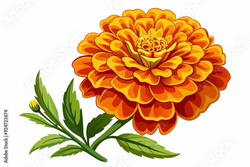 Orange Marigold Flower with Green Leaves and a Bud