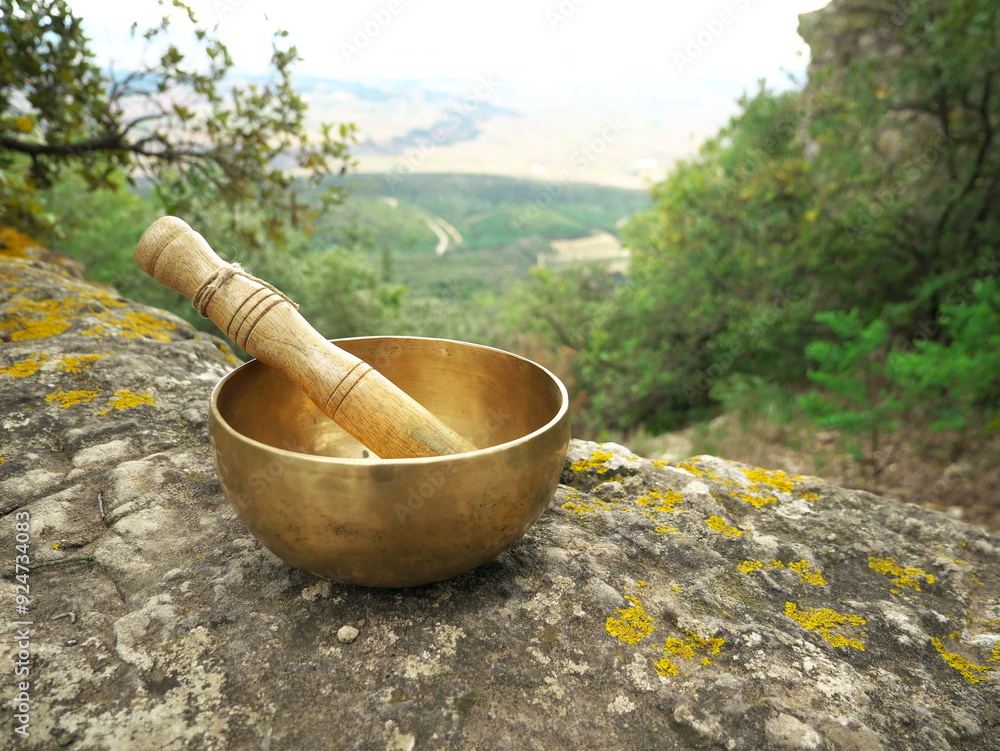 Singing bowl on a large rock with nature in the background Singing bowl on a large rock with nature in the background