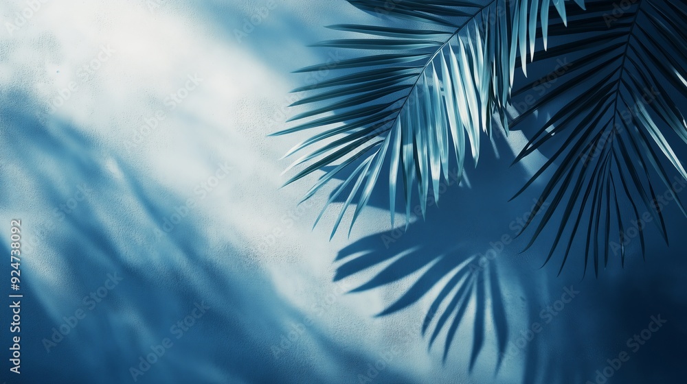 Calming Blue Shadows of Tropical Palm Leaves in Nature Calming Blue Shadows of Tropical Palm Leaves in Nature