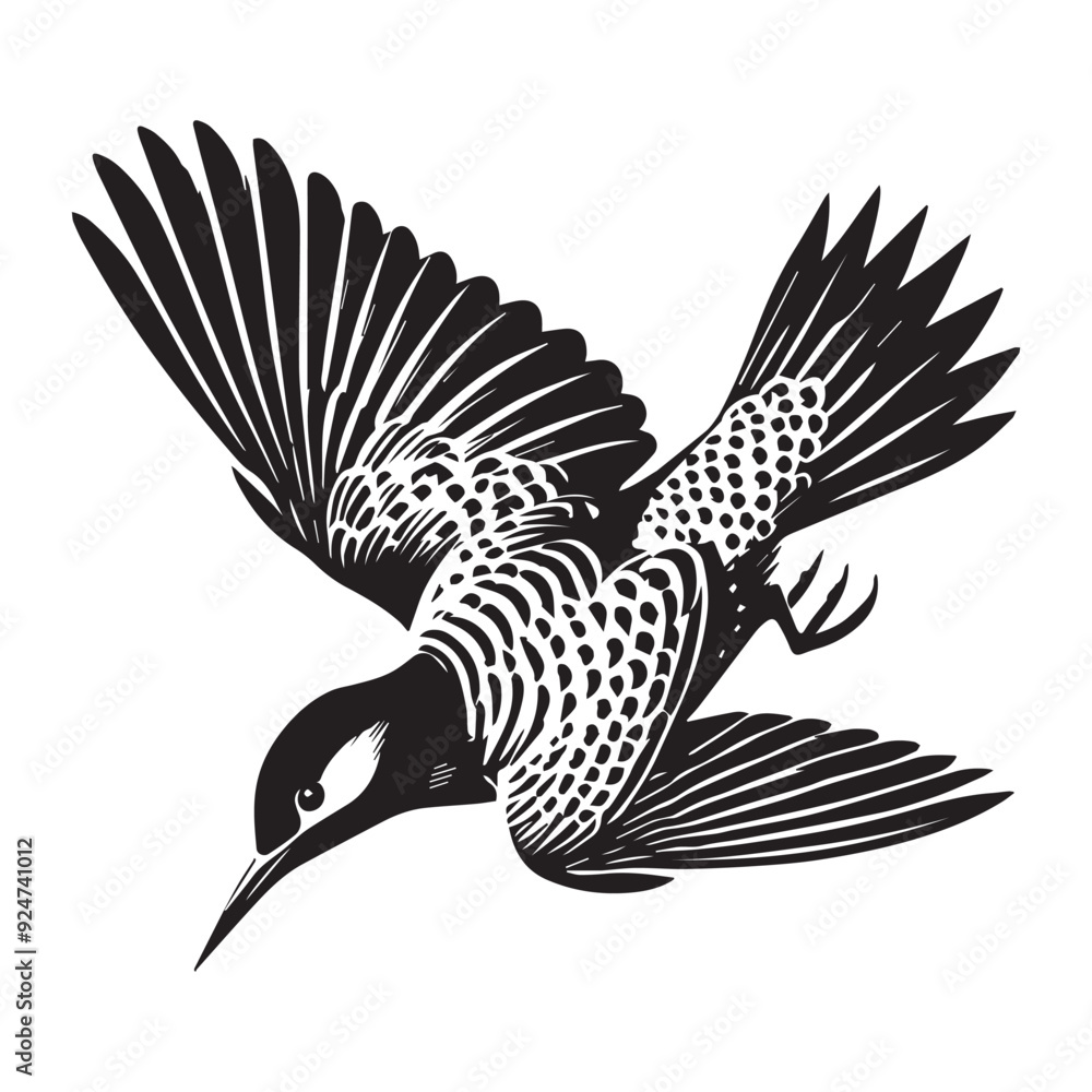 Obraz premium Northern flicker silhouette, Woodpecker Bird Clipart, Northern flicker Flying downward illustration in black and white